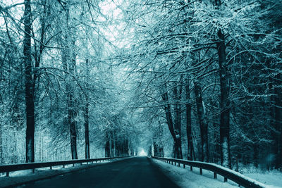 Snowy winter road in the forest during the day.