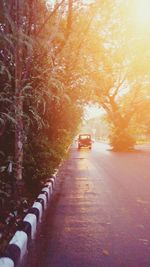 Road amidst trees during winter