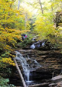 Scenic view of waterfall in forest during autumn