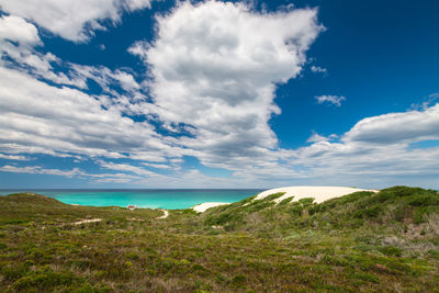 Scenic view of sand dunes at beautiful de hoop nature reserve, atlantic ocean coast, south africa