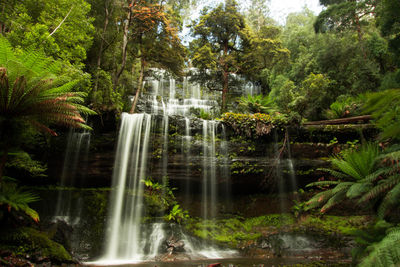 Scenic view of waterfall in forest