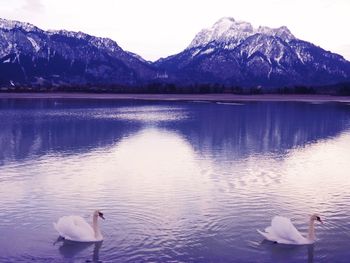 Scenic view of lake and mountains