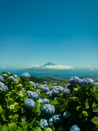 Scenic view of sea against clear blue sky