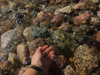 Close-up of hand in shallow river water