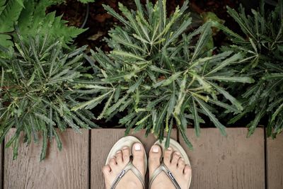 Low section of woman standing on boardwalk by plants