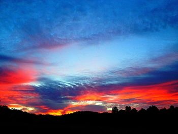 Silhouette of trees against dramatic sky