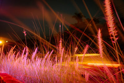 Light trails in sky at night