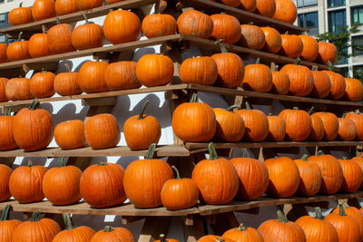 Pumpkins for sale at market stall