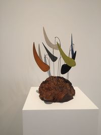 Close-up of food on table against white background