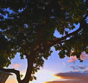 Low angle view of silhouette tree against sky during sunset