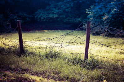 Fence on grassy field