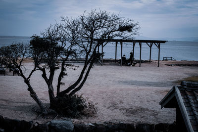 Bare tree on beach against sky