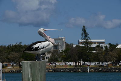 Seagull perching on wooden post by sea against sky