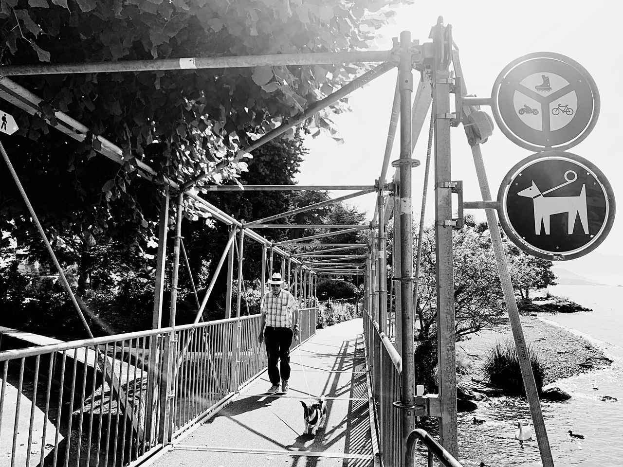 REAR VIEW OF MAN ON BICYCLE WHEEL AGAINST SKY