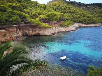 High angle view of sea and trees