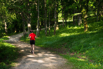 Rear view of man jogging on footpath amidst trees at park
