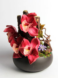 Close-up of flowers in vase against white background