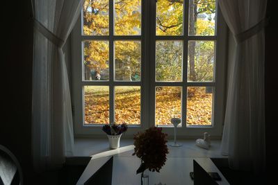 View of autumn 