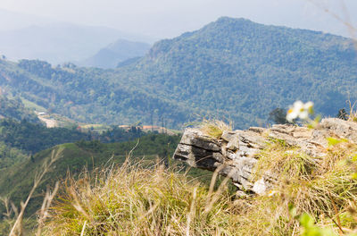 Scenic view of field against mountains