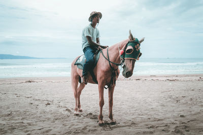 Young man sitting on horse at sandy beach