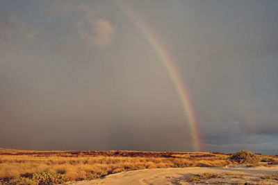 Scenic view of rainbow over field against sky