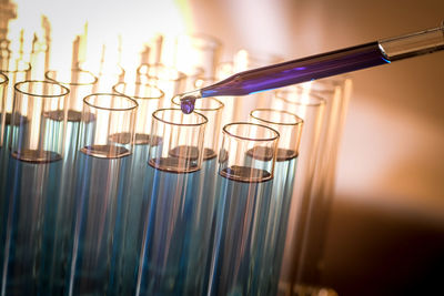 Close-up of wine glasses on table