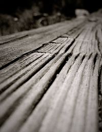 Close-up of wood