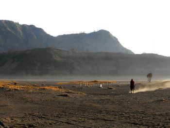 Person riding horse on field against clear sky