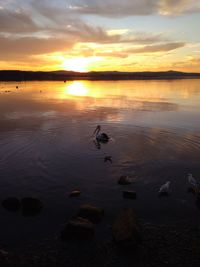 Scenic view of lake against sky during sunset