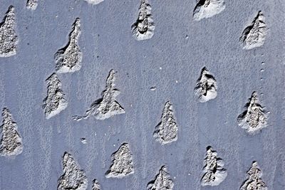 Close-up of footprints on wall