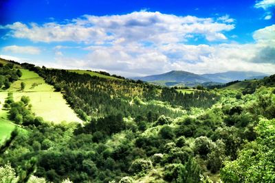 Scenic view of landscape against sky