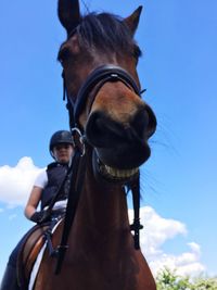 Low angle view of jockey riding horse against sky