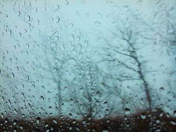 Close-up of water drops on leaf