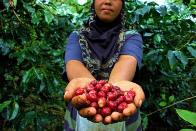 Midsection of woman holding fruits against plants