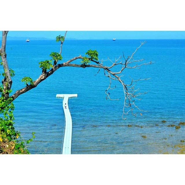 sea, horizon over water, water, tranquil scene, tranquility, beach, beauty in nature, scenics, nature, blue, plant, shore, growth, clear sky, idyllic, sand, day, tree, sky, coastline