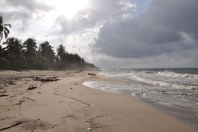 Scenic view of beach against sky