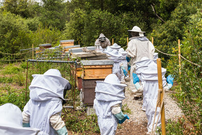 Group of anonymous kids and beekeepers in protective costumes gathering near beehives in apiary in summer