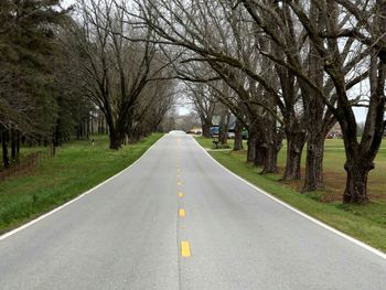 Empty road by bare trees and field