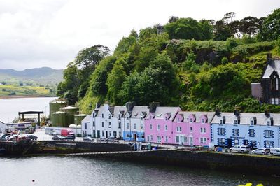 Scenic view of river by trees against sky