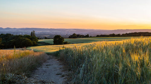 Scenic view of field against sky during sunset