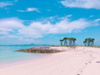 Scenic view of beach against sky