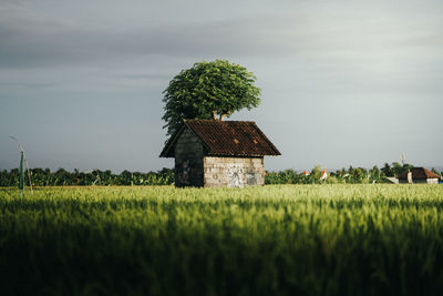 House on field against sky