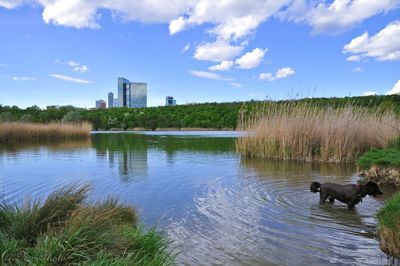 Tranquil view of lake against cloudy sky