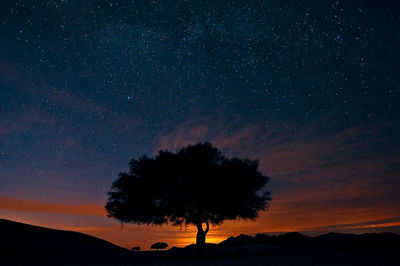 Silhouette trees against sky at night