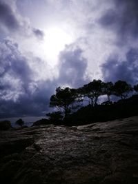 Trees against sky