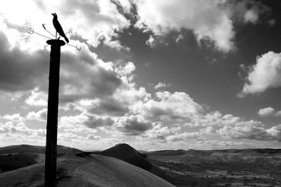 Low angle view of bird on mountain against sky