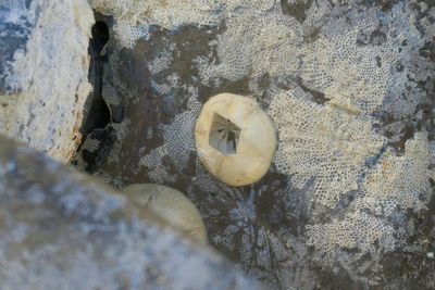 Close-up of rocks