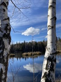 Reflection of trees in lake against sky