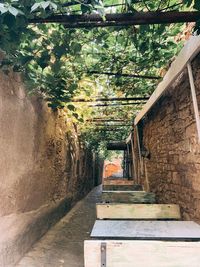 Empty footpath amidst trees and buildings