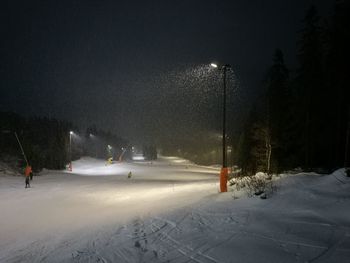 Snow covered trees against sky at night